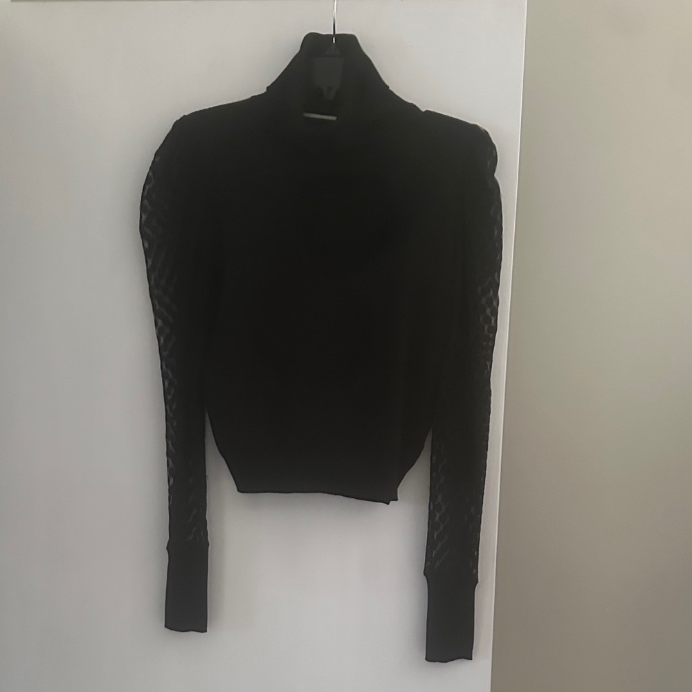 Black Turtleneck Sweater with Sheer Sleeves